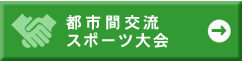 �s�s�Ԍ𗬃X�|�[�c���